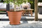 universal planttaxi 30cm terra